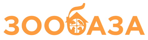 opt.zoobaza.pet opt.zoobaza.pet